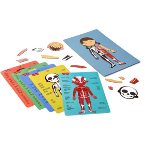 Magneetspel - Menselijk lichaam magneetkaart - 63dlg.