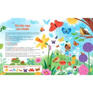 Boek - Speuren naar vlinders