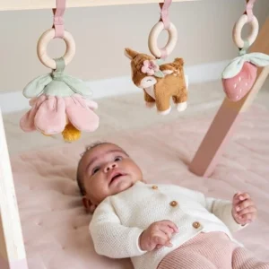 Babygym - Fairy Garden - Roze - Hout