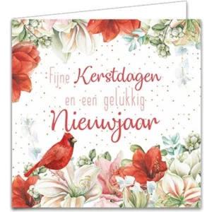 Kaarten - Kerst - Janneke Brinkman - Rode kardinaal & vogelhuis - 10st.