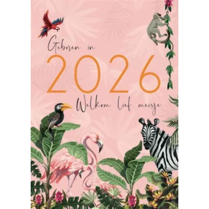 Kaart - Geboren in 2026, welkom lief meisje - ME - GBE.2944