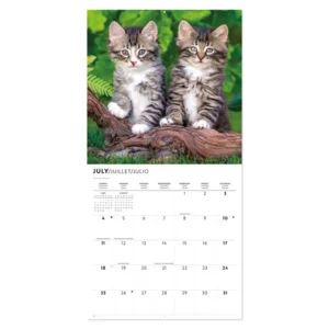 Kalender - Kittens - 2027 - 30x30cm