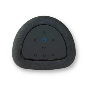 Bluesound Pulse Flex (2025) Black