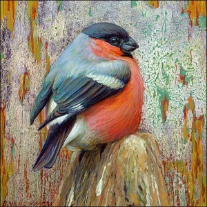 Kaartenmapje - 2 x 4 designs - Erik van Ommen - Birds - 12x12cm