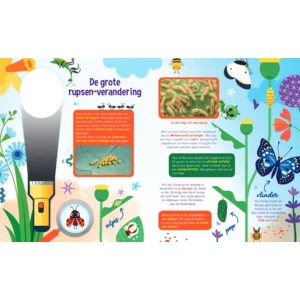 Boek - Speuren naar vlinders