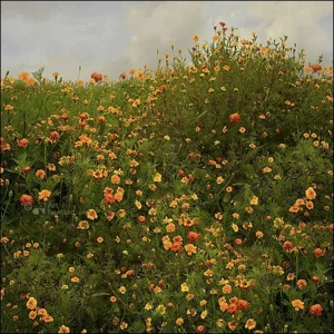 Kaartenmapje - 2 x 4 designs - Saskia Boelsums - Wildflowers - 12x12cm