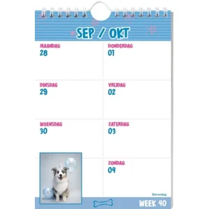 Week kalender - 2026 - Rachael hale - Honden