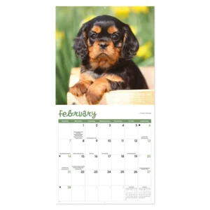 Kalender - Puppies - 2027 - 30x30cm