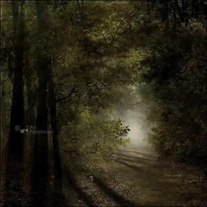 Kaartenmapje - 2 x 4 designs - Saskia Boelsums - Sympathy - 12x12cm