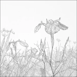 Kaartenmapje - 2 x 4 designs - Reinder Homan - Sympathy - 12x12cm