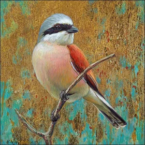 Kaartenmapje - 2 x 4 designs - Erik van Ommen - Birds - 12x12cm