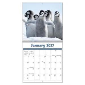 Kalender - Baby animals - 2027 - 30x30cm