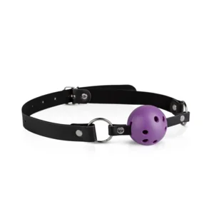 Bedroom Fantasies Purple Apprentice Bondageset