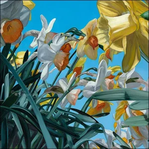 Kaartenmapje - 2 x 4 designs - Theo Leijdekkers - Frog perspective - 12x12cm