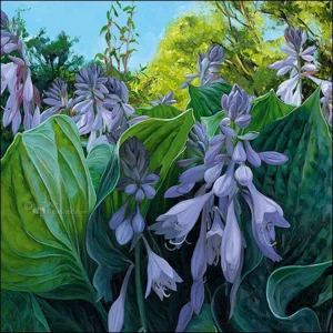 Kaartenmapje - 2 x 4 designs - Theo Leijdekkers - Frog perspective - 12x12cm