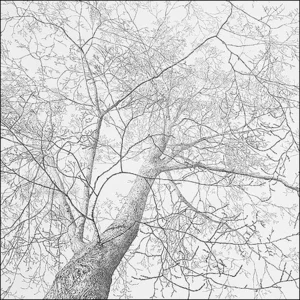 Kaartenmapje - 2 x 4 designs - Reinder Homan - Sympathy - 12x12cm