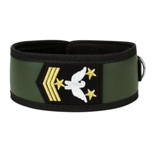 Easytoys Field Marshal's Fetish Bondage Set