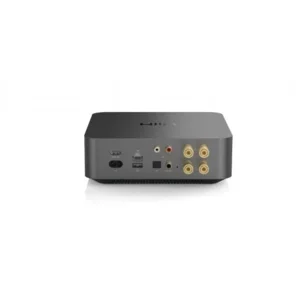 Wiim Amp Pro space grey