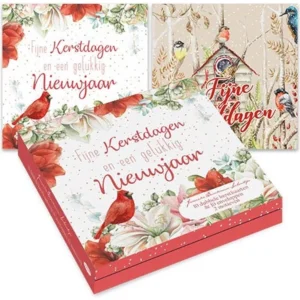 Kaarten - Kerst - Janneke Brinkman - Rode kardinaal & vogelhuis - 10st.