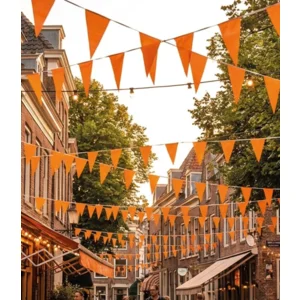 Vlaggenlijn - Oranje - 30m