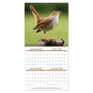 Kalender - Songbirds - 2027 - 30x30cm