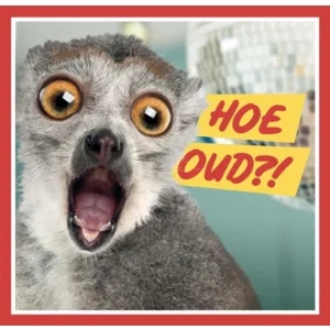 Kaart - Muziek - Hoe oud?! - 010
