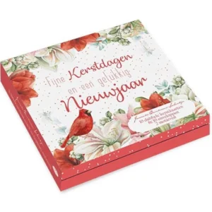 Kaarten - Kerst - Janneke Brinkman - Rode kardinaal & vogelhuis - 10st.