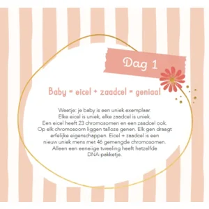 Boek - Baby's eerste 100 dagen